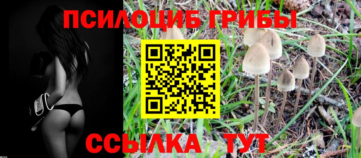 Щёлково  Псилоцибиновые грибы ЛСД  Вход с VPN  Псилоцибиновые грибы Cubensis 